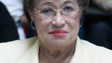 Photo of جامعة MSA تقدم منح للقبول بكلية اللغات والترجمه