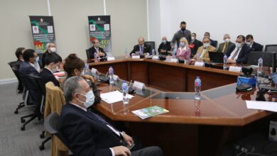Photo of بالتعاون مع جامعة كيوشو اليابانية: انطلاق فاعليات المؤتمر العلمى الدولى الثامن بالجامعة اليابانية