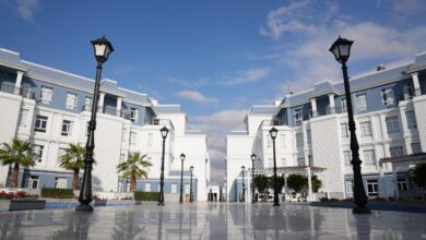 Photo of جامعة سيناء: فتح باب القبول المبكر بفرعي العريش والقنطرة بتخفيض 40% من المصروفات