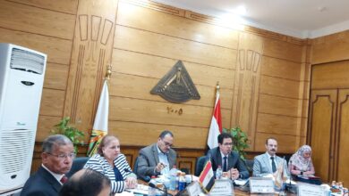 Photo of خلال رئاسته مجلس جامعة بنها: ” الجيزاوي” : ندعم ونؤيد القيادة السياسية فى قراراتها ومواقفها تجاه القضية الفلسطينية