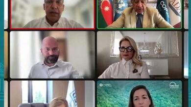 Photo of رئيس الجامعة البريطانية في مصر عضوًا بالمجلس العلمي لرئاسة مؤتمر قمة المناخ COP29