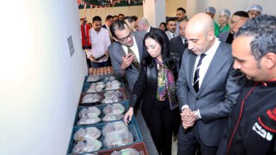 Photo of وزيرا التضامن الاجتماعي والتربية والتعليم يزوران مقر بنك الطعام المصري