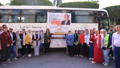 Photo of جامعة القاهرة تطلق قافلة تنموية شاملة بمنطقة زنين ببولاق الدكرور