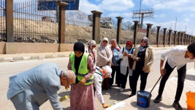 Photo of جامعة بنها تتجمل استعدادًالاستقبال  للعام الجامعي الجديد