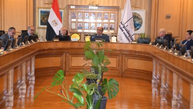 Photo of مجلس جامعة حلوان يهنئ نخبة من أساتذته لتوليهم مناصب مرموقة محليًا ودوليًا