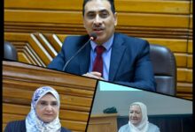 Photo of جامعة القاهرة تنظم ورشة العمل الثانية حول النزاهة الأكاديمية وأخلاقيات البحث العلمي لقطاع العلوم الأساسية والطبية والهندسية