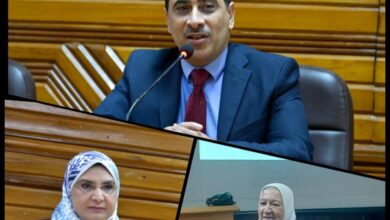 Photo of جامعة القاهرة تنظم ورشة العمل الثانية حول النزاهة الأكاديمية وأخلاقيات البحث العلمي لقطاع العلوم الأساسية والطبية والهندسية