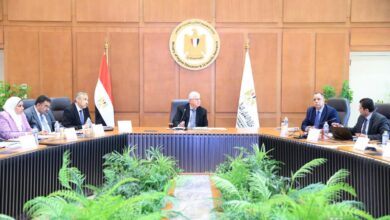 Photo of د.أيمن عاشور يؤكد: • صندوق رعاية المبتكرين يرسخ ثقافة الابتكار وريادة الأعمال بين الشباب