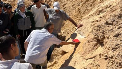 Photo of جامعة بنها الأهلية تطلق سلسلة رحلات علمية لطلاب كلية علوم الطاقة