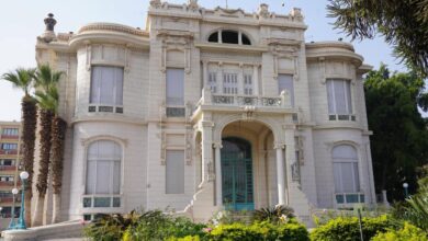 Photo of جامعة عين شمس تتبرأ من طبيب النصائح المزيف ؟!