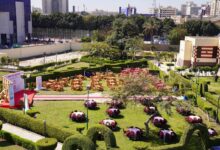 Photo of جامعة عين شمس تقيم ” مائدة الرحمن” بدار الضيافة بالتعاون مع صندوق تحيا مصر