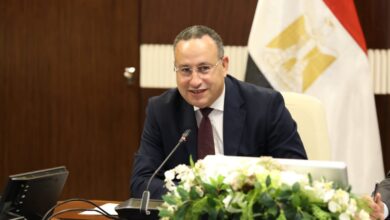 Photo of بمناسبة اليوم العالمى للمرأة ..التعليم العالى تؤكد ارتفاع نسبة الطالبات وأعضاء هيئة التدريس الإناث يعكس نجاح جهود تمكين المرأة في منظومة التعليم العالي