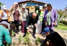 Photo of تدشين حملة تشجير واسعه بحرم جامعة ٦ اكتوبر بمناسبة أسبوع البيئة