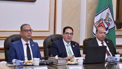 Photo of قرارات جريئة لمجلس جامعة القاهرة: دعم الأساتذة وتوسيع الشراكات وتطوير البرامج