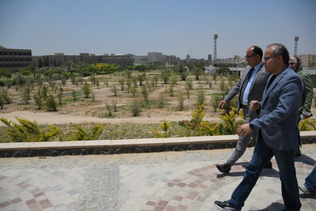 وسط