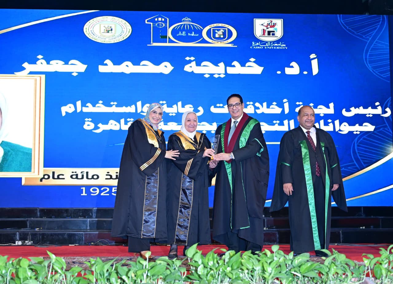وسط